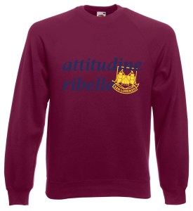 FELPA-BORDEAUX-ATTITUDINE